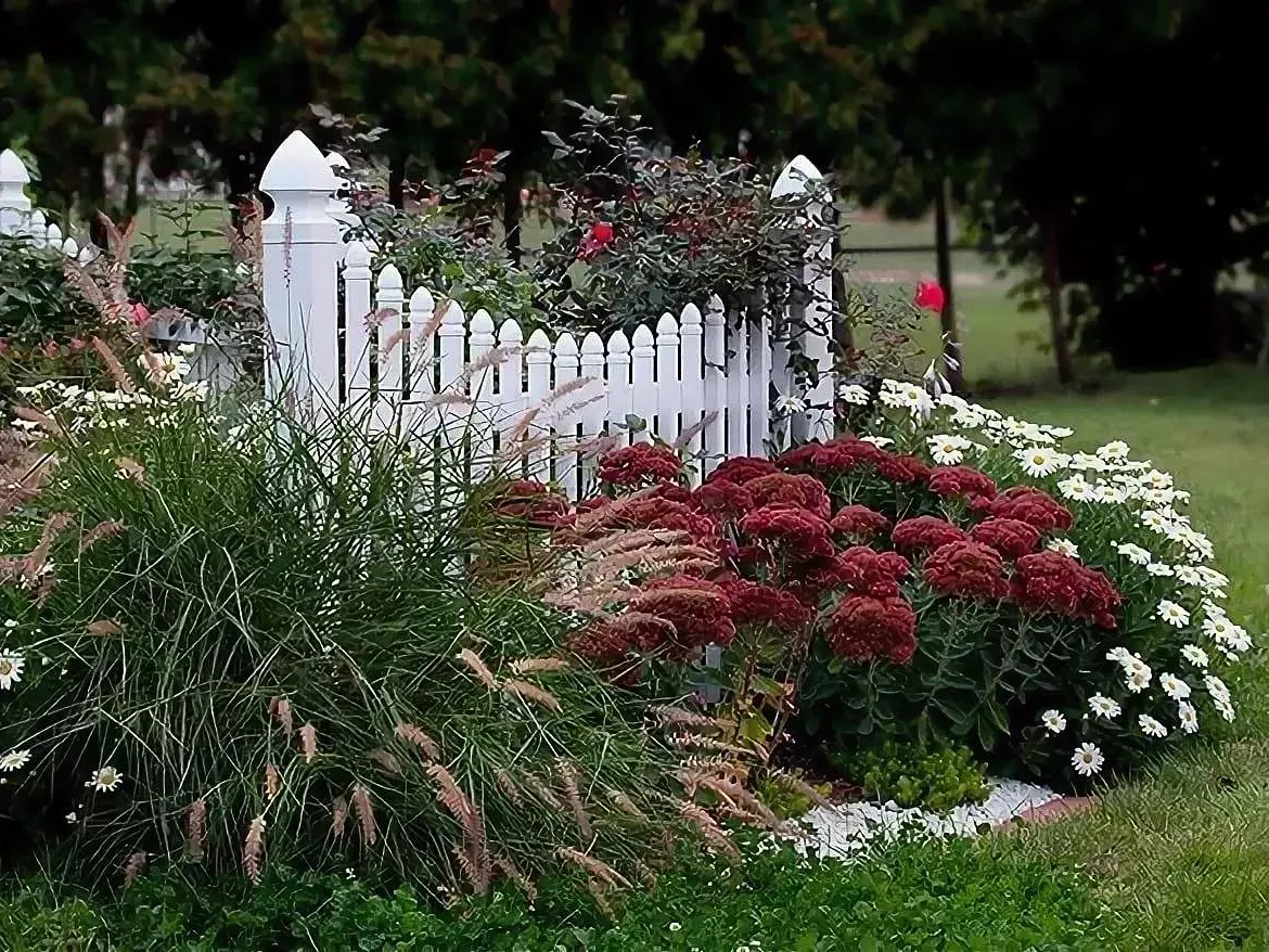 Gal 3 › ХВОЯ24 - питомник растений в вашем кармане!