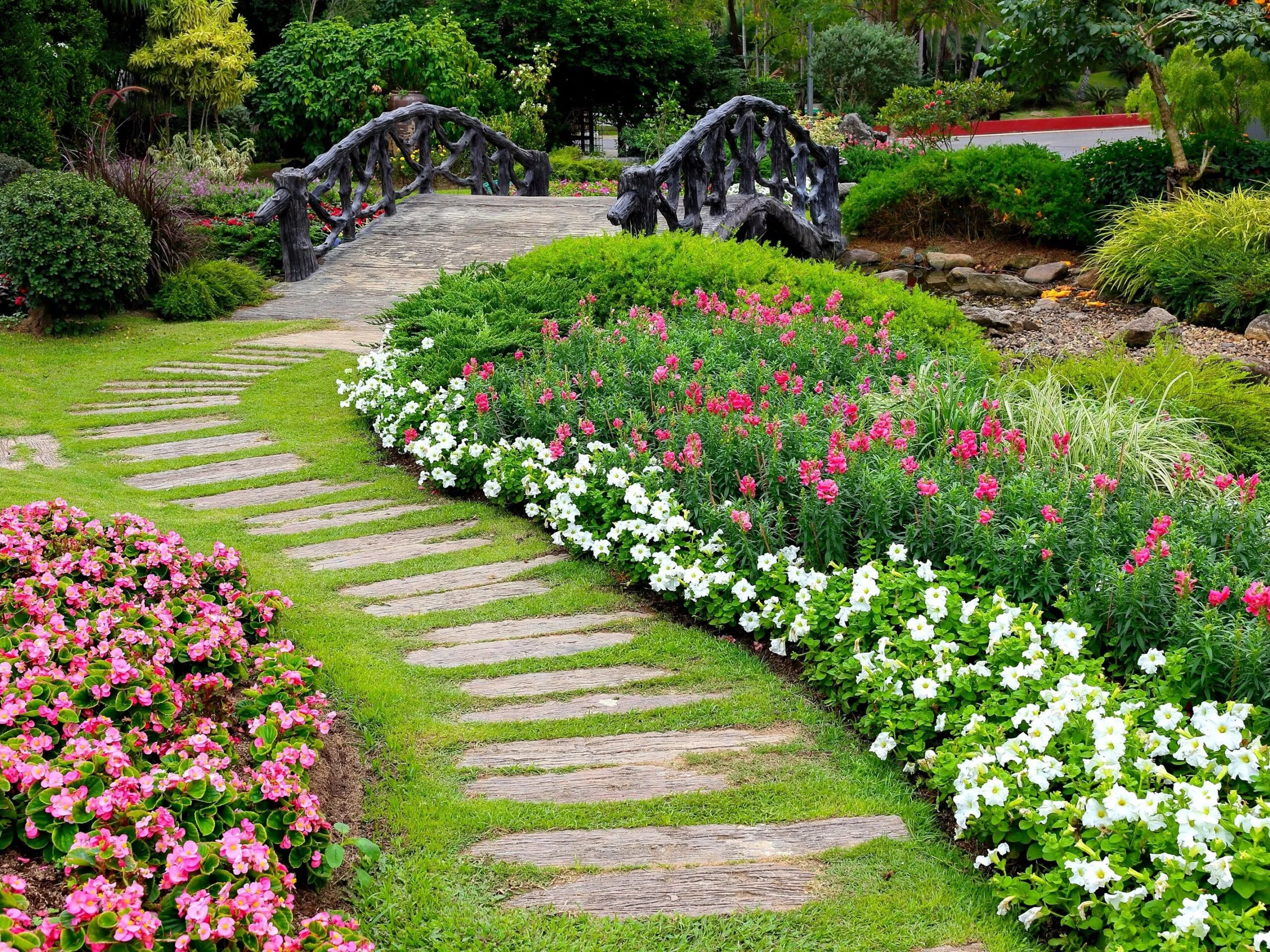 Gal 7 › ХВОЯ24 - питомник растений в вашем кармане!