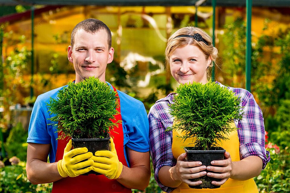 Pngtree a Group of Skilled Horticulturists Tending to Young Plantlings in the Greenhouse Photo Image 24201038 • ХВОЯ24 • Питомник растений у вас в кармане! • ХВОЯ24