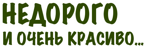 Nedorogo • ХВОЯ24 • Питомник растений у вас в кармане! • ХВОЯ24